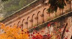 Kyoto