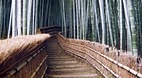 Kyoto