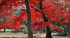 Kyoto