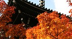 Kyoto