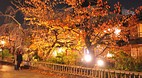 Kyoto