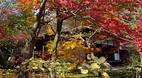 Kyoto
