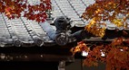 Kyoto