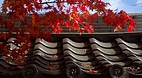 Kyoto