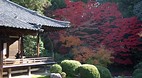 Kyoto