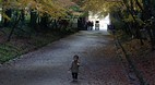 Kyoto