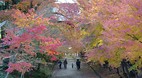 Kyoto