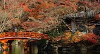 Kyoto