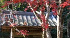 Kyoto