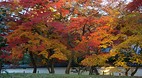Kyoto