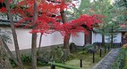Kyoto