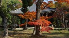 Kyoto