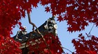 Kyoto