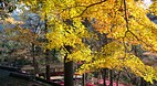 Kyoto