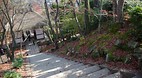 Kyoto