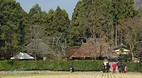 Kyoto
