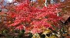 Kyoto