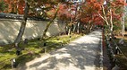 Kyoto