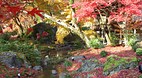 Kyoto