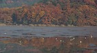 Kyoto
