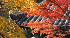 Kyoto