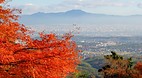 Kyoto