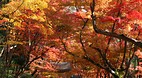 Kyoto