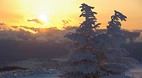 Honshu