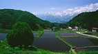 Honshu