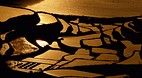 Saga Prefecture