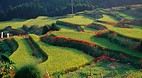 Saga Prefecture