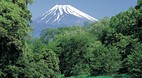 Honshu