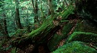 Honshu