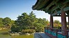 Anapji Pond