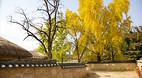 Andong Hahoe Village