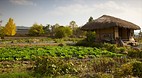 Andong Hahoe Village