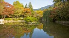 Bulguksa Temple (UNE..