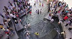 Cheonggyecheon Strea..