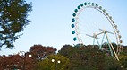 Everland