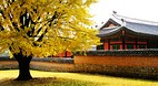 Gyeongbokgung Palace