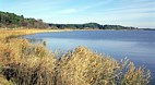 Gyeongpoho Lake