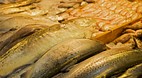 Jagalchi Market