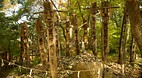 Korean Folk Village