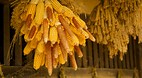 Korean Folk Village