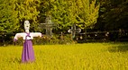 Korean Folk Village