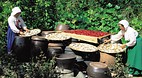 Korean Folk Village