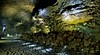 Manjang Cave