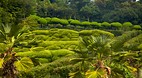 Oedo Island Paradise