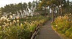 Olle Walking Paths