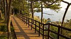 Olle Walking Paths